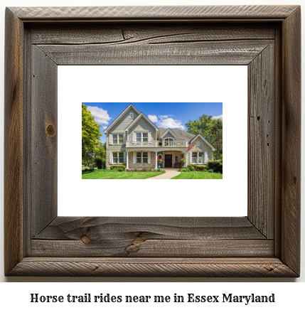 horse trail rides near me in Essex, Maryland